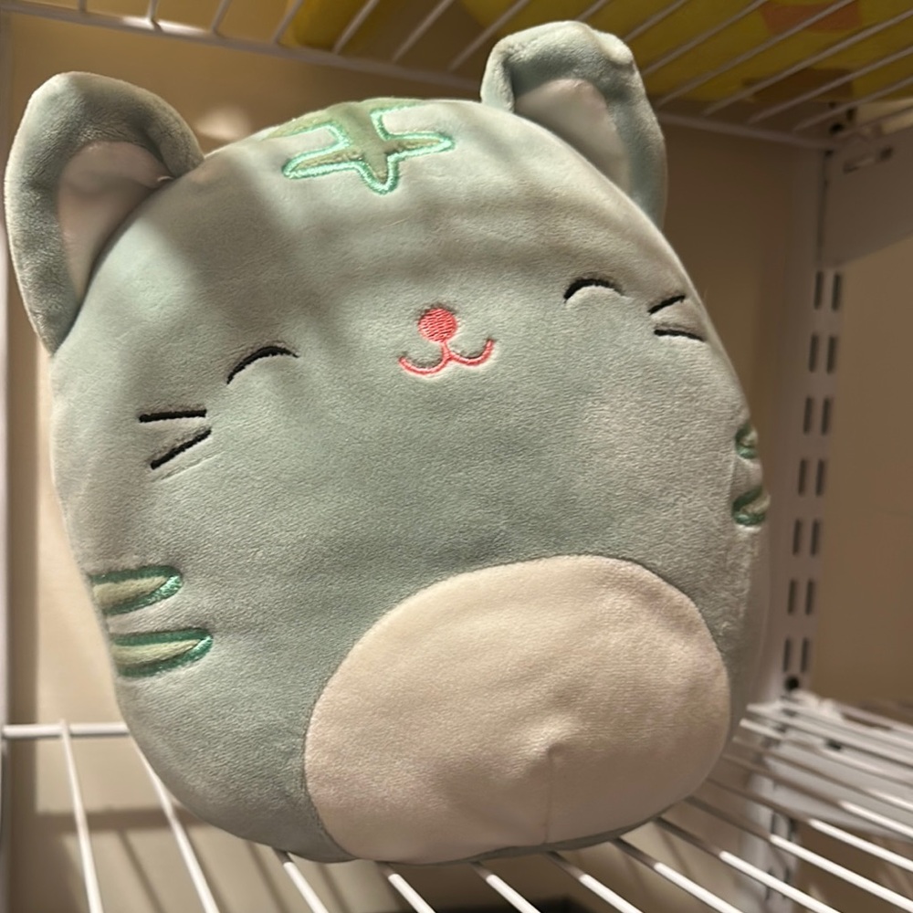 Cute Mint Green Cat Plush